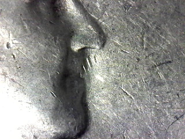 20181005_S20181005_005-ccfopt.jpg