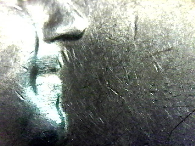 20181005_S20181005_006-ccfopt.jpg