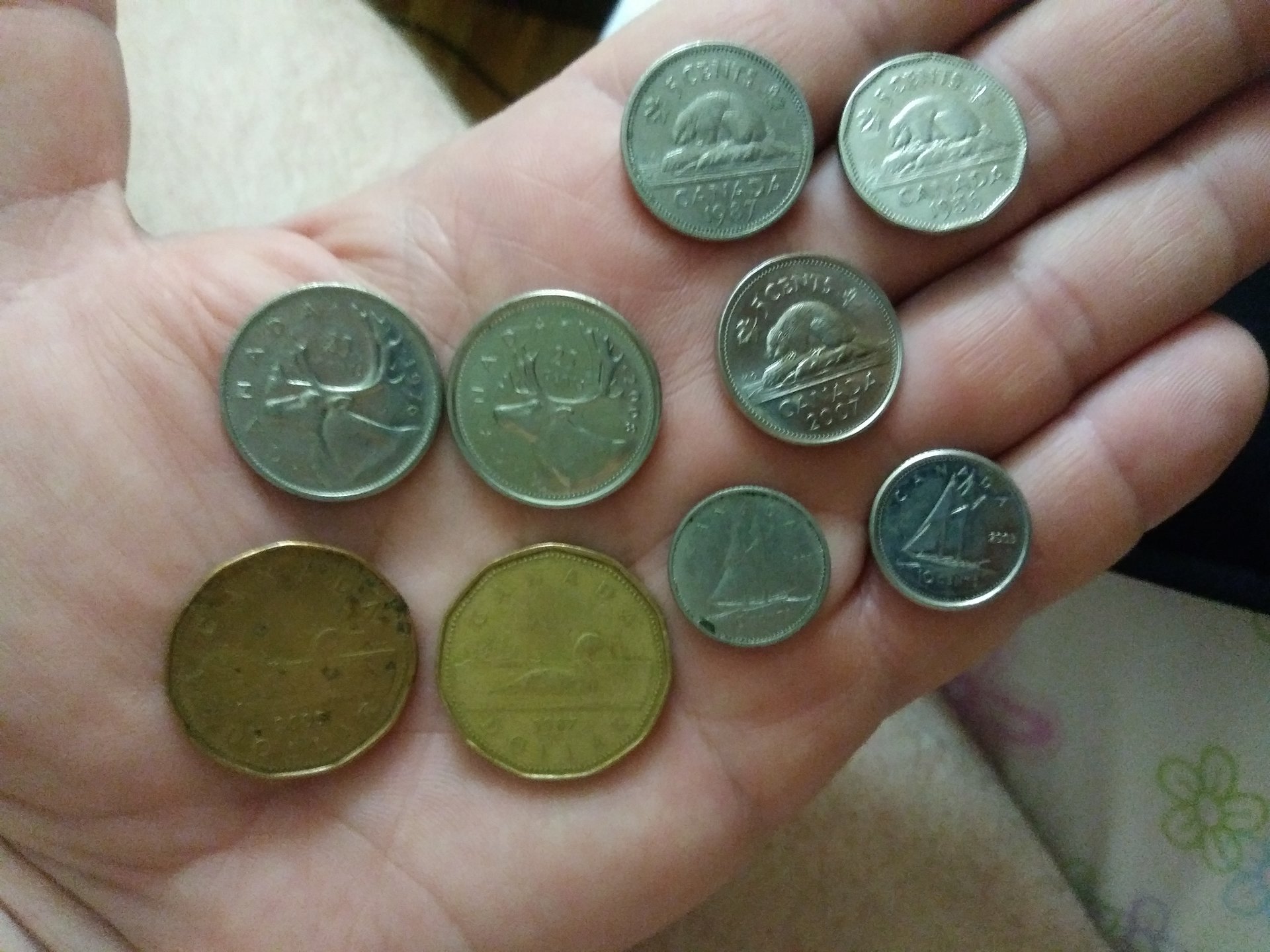 いつでもポイント10倍 1973 カナダ コイン エラー / Canada coin error