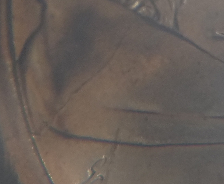 20181009_222835.jpg