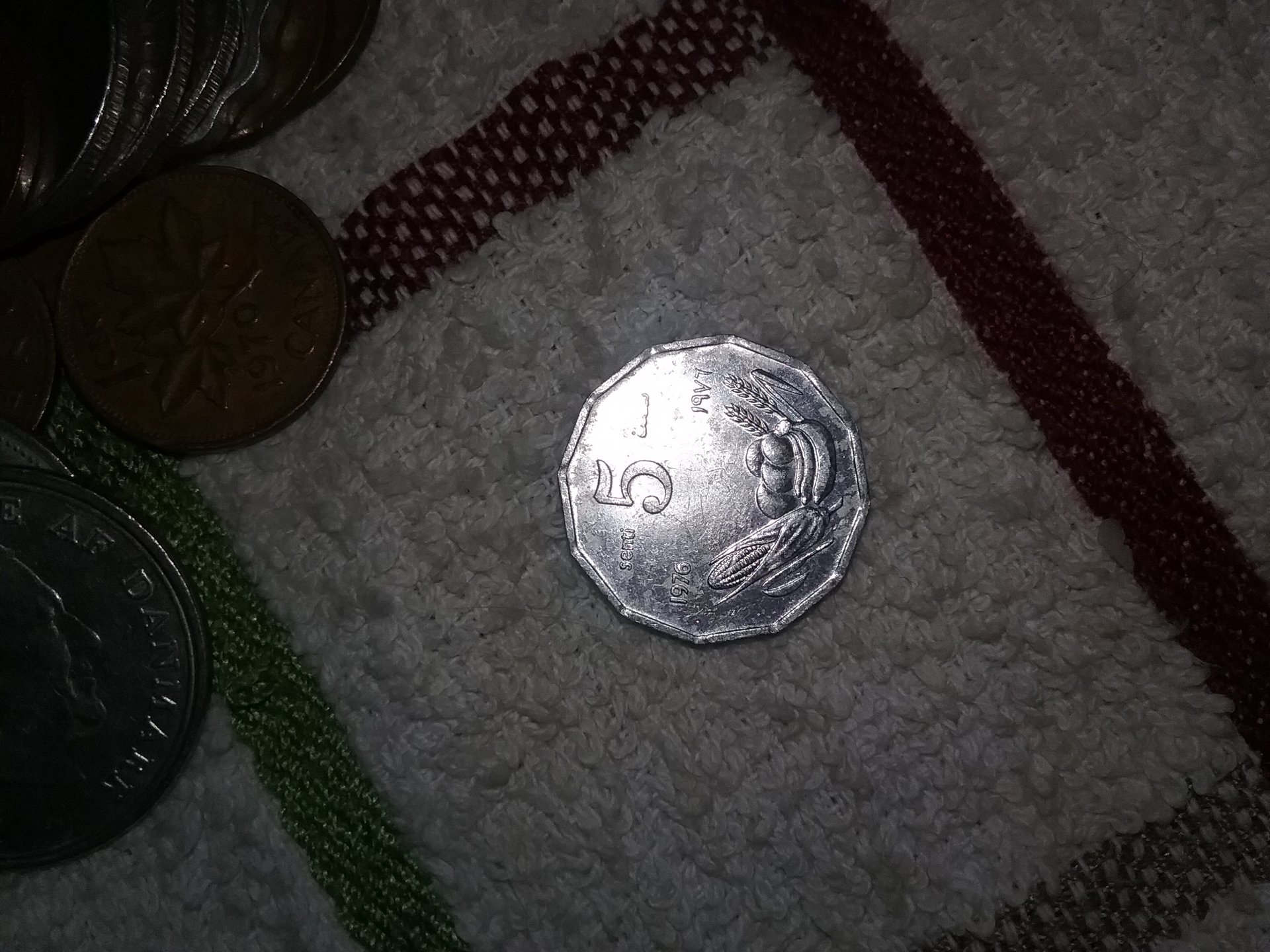 20181010_131500.jpg