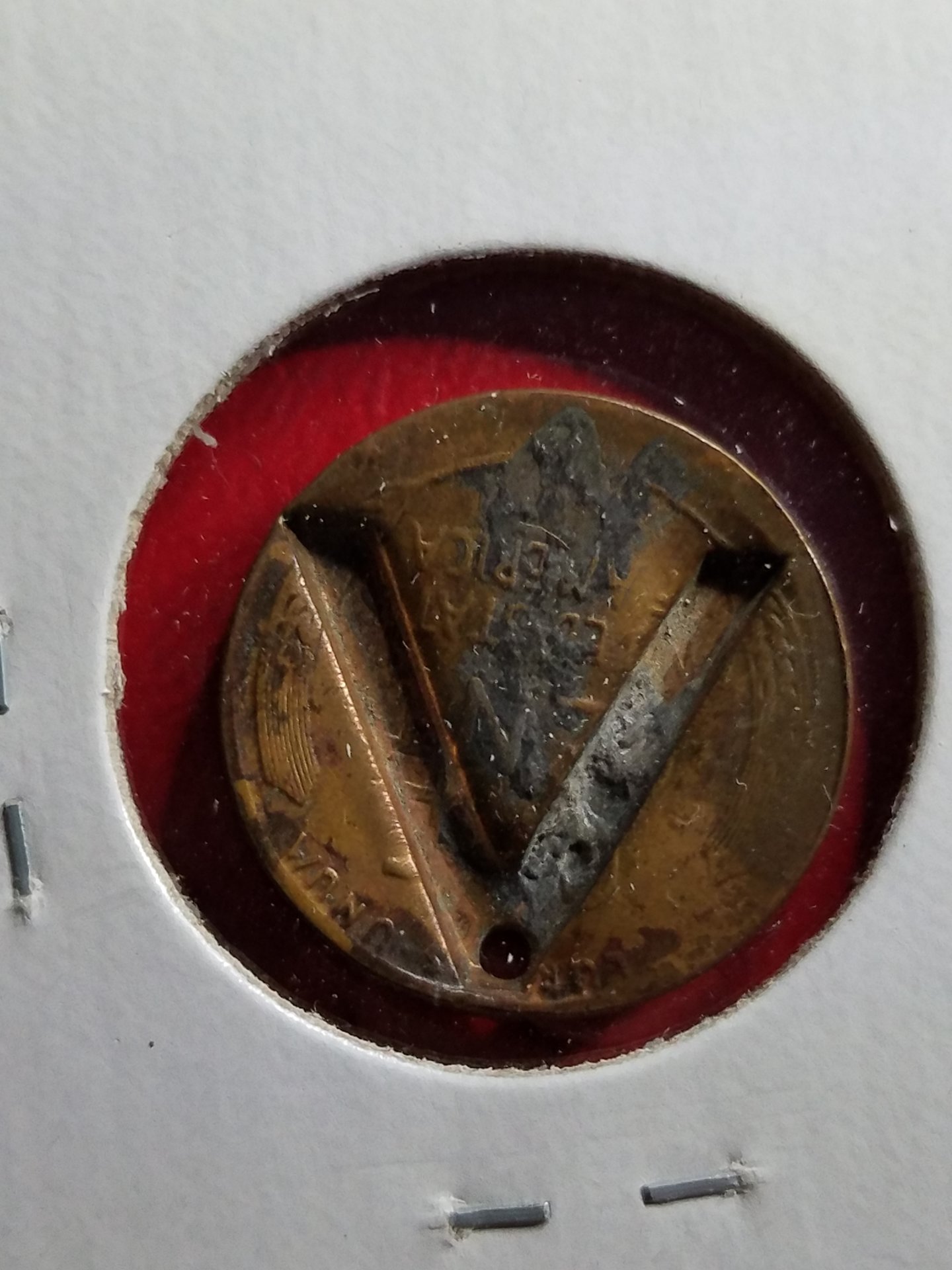 20181011_202052.jpg