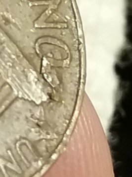 20181015_205524.jpg