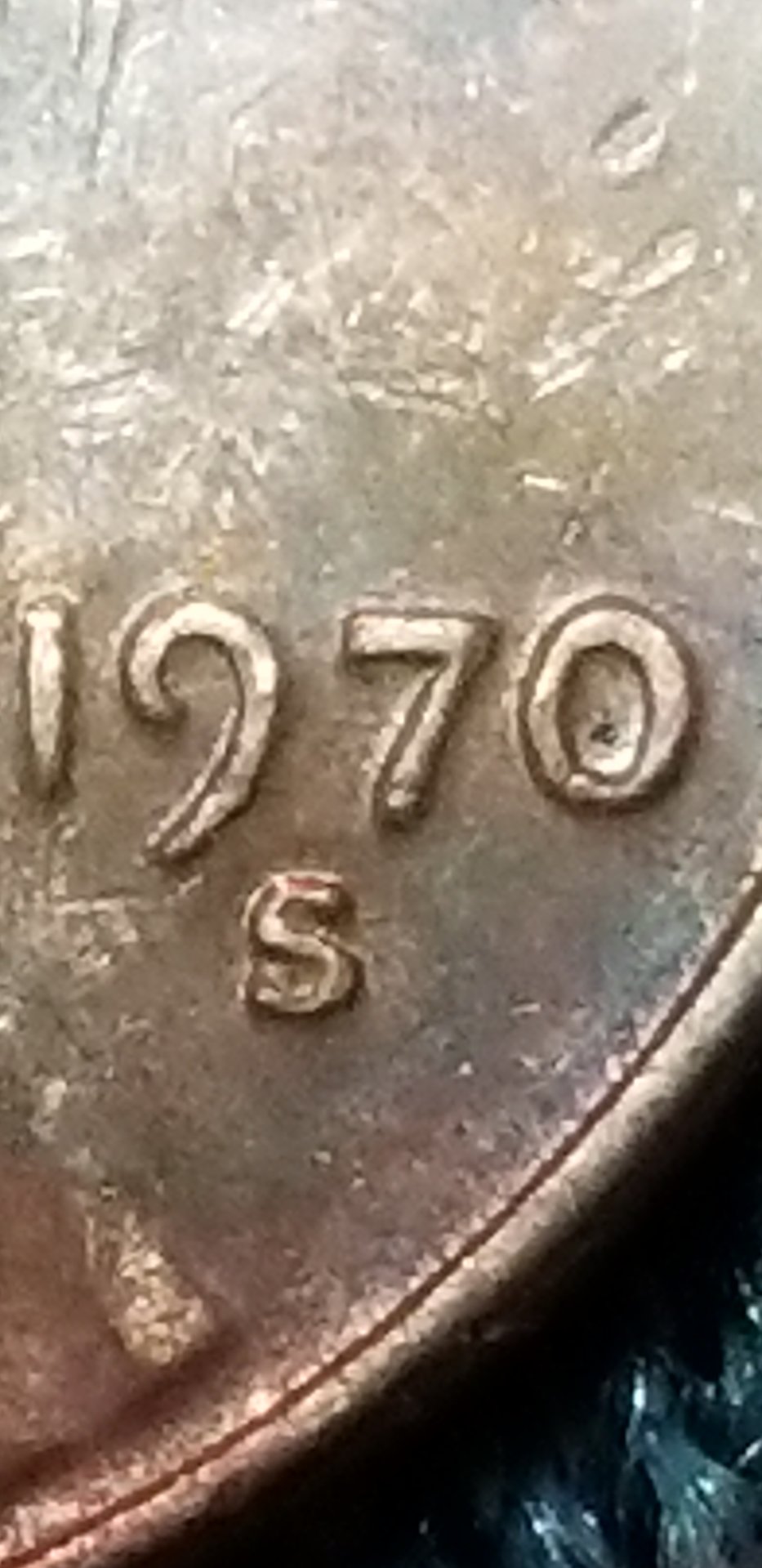 20181016_200243.jpg