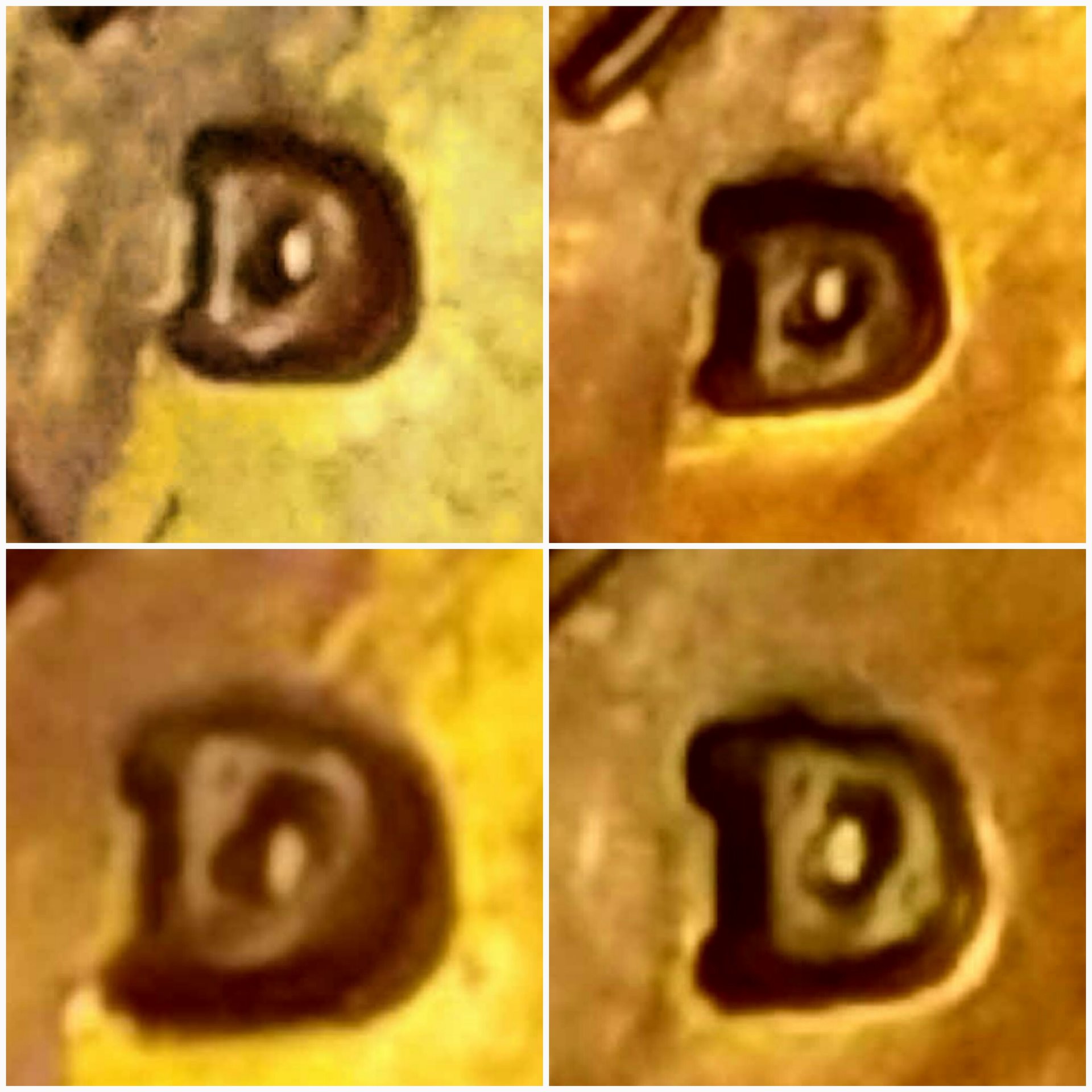 20181018_130946.jpg