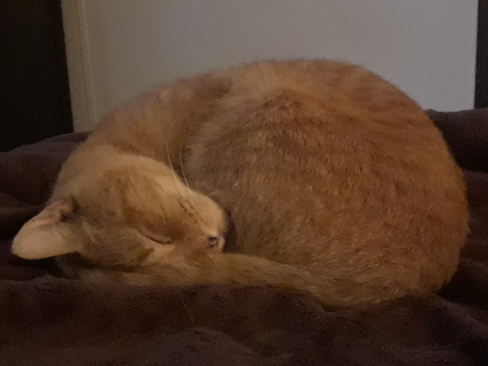 20181018_155836.jpg