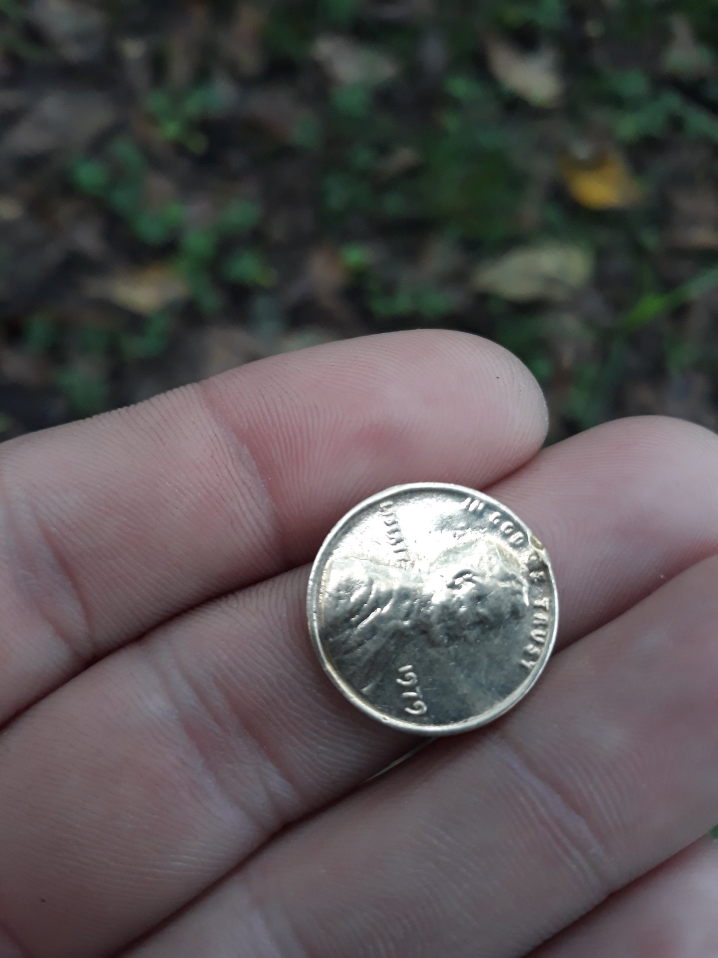 20181018_174834.jpg