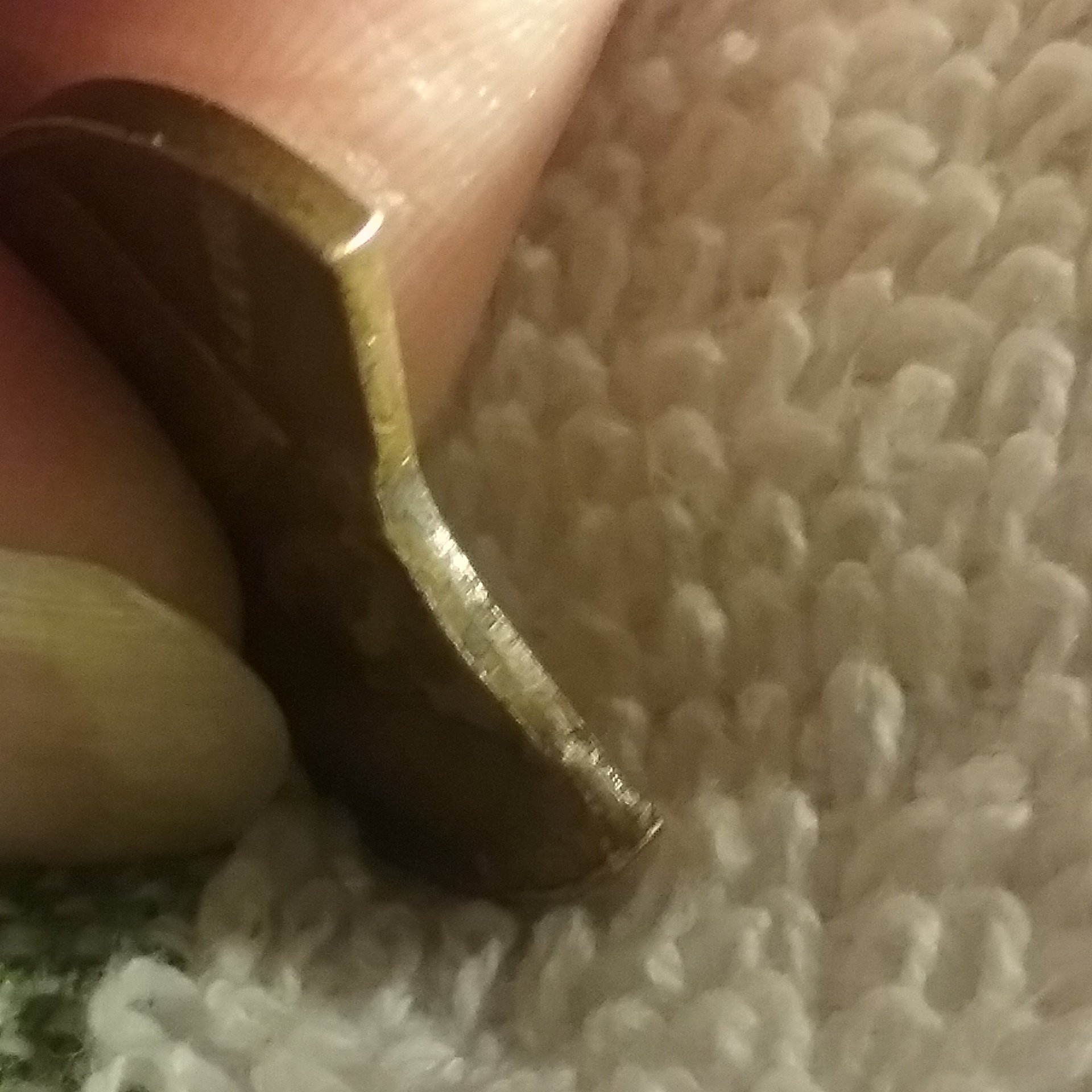 20181019_113431.jpg