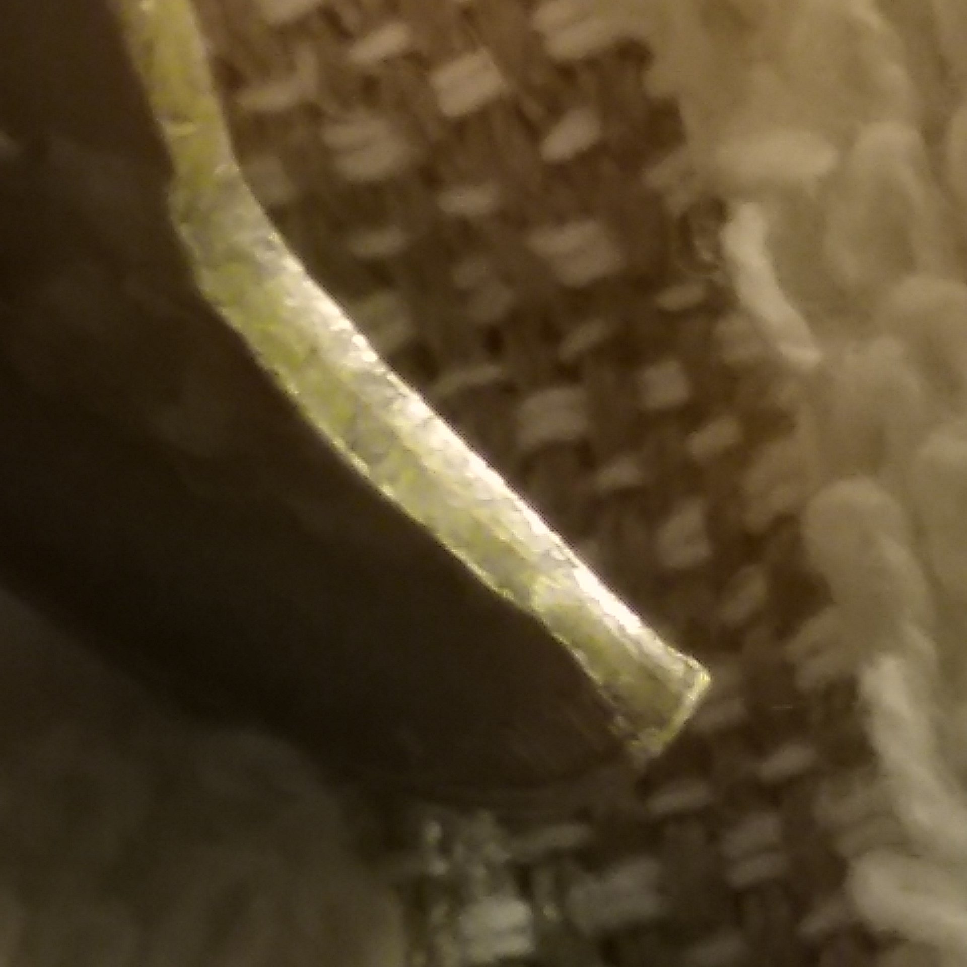20181019_113539.jpg