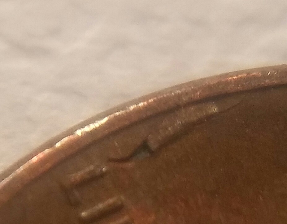 20181020_100554_HDR.jpg