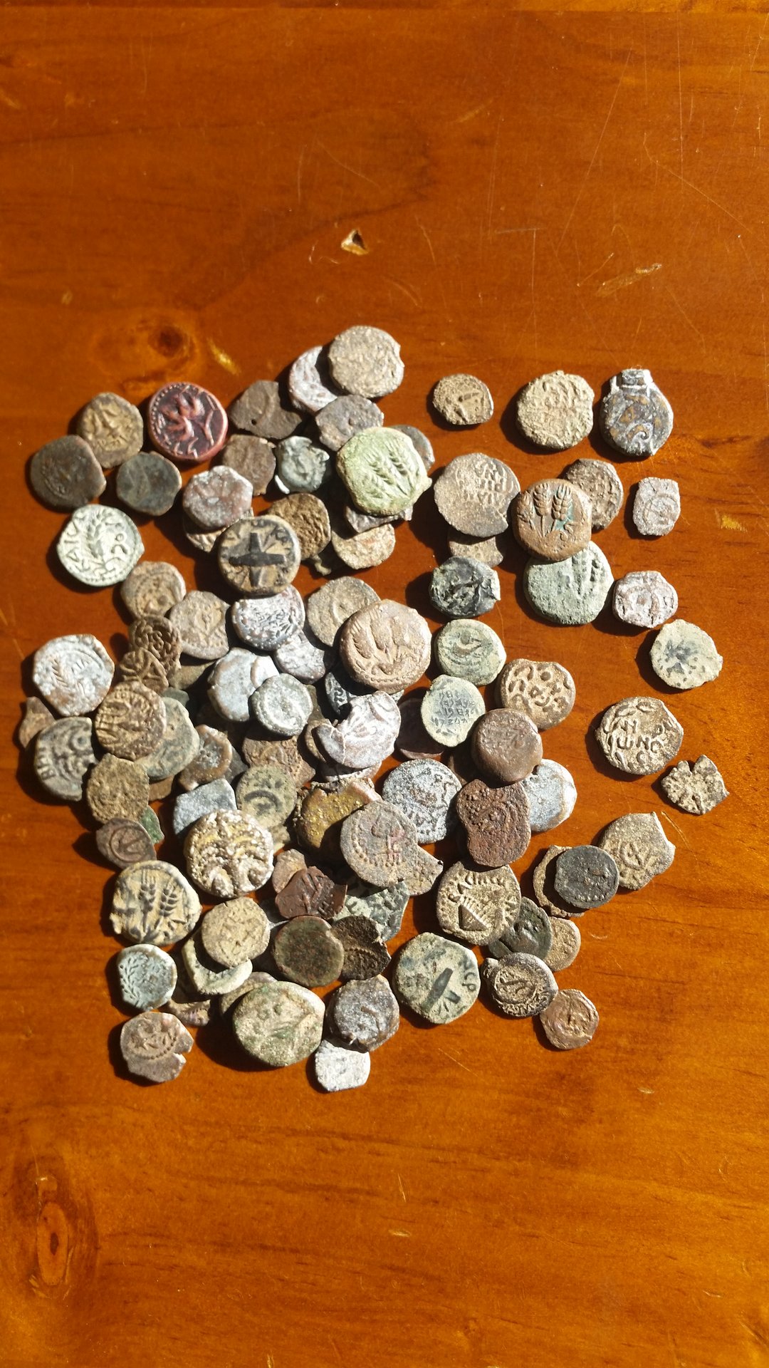 20181020_172809.jpg