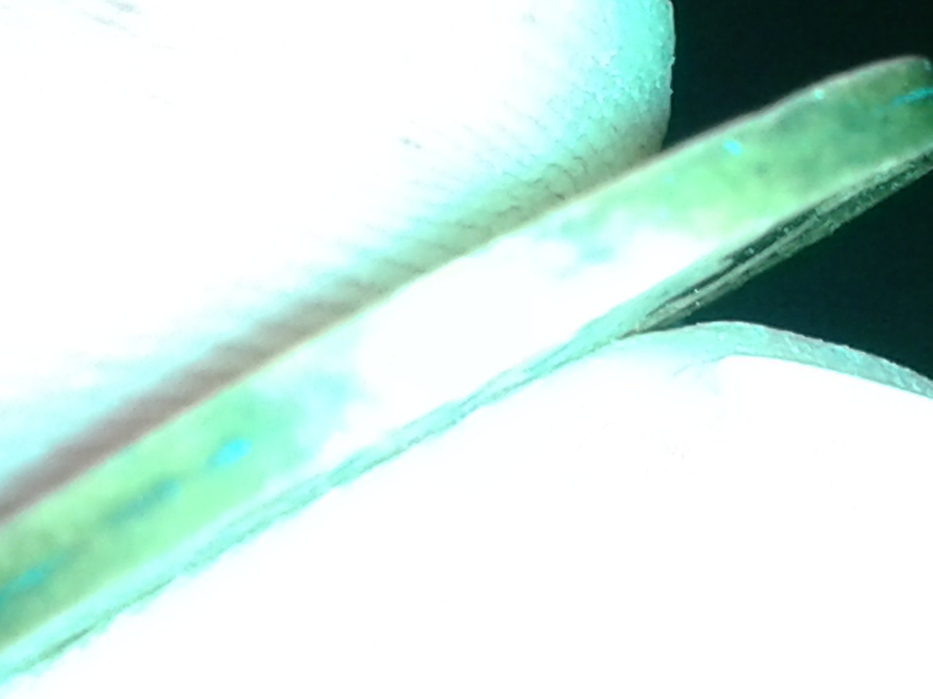 20181026_102404.jpg