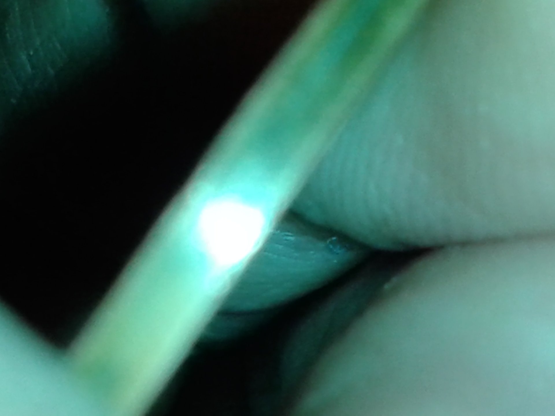 20181026_102533.jpg