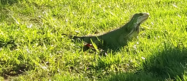 20181026_160927-1.jpg