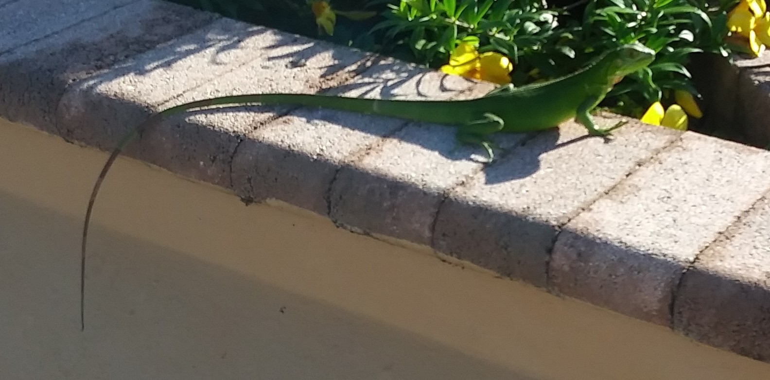20181026_161144-1-1.jpg