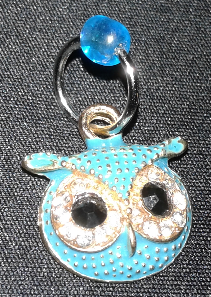 20181107_020357 owl.jpg