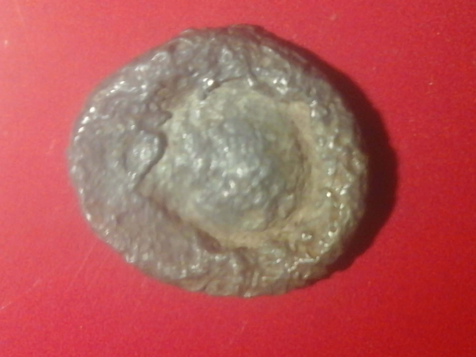 20181110_042205.jpg