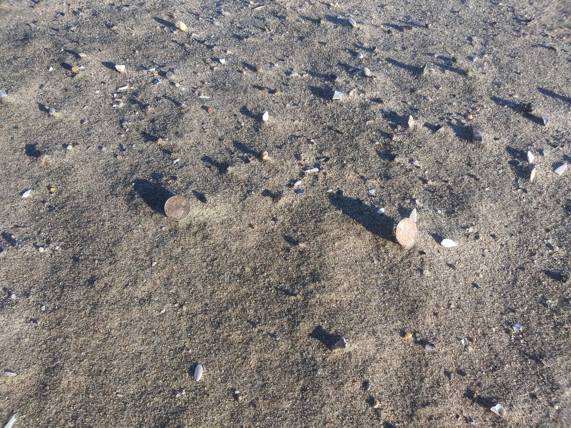 20181110_075623.jpg