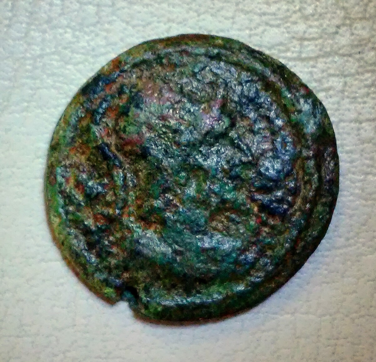 20181111_115605.jpg