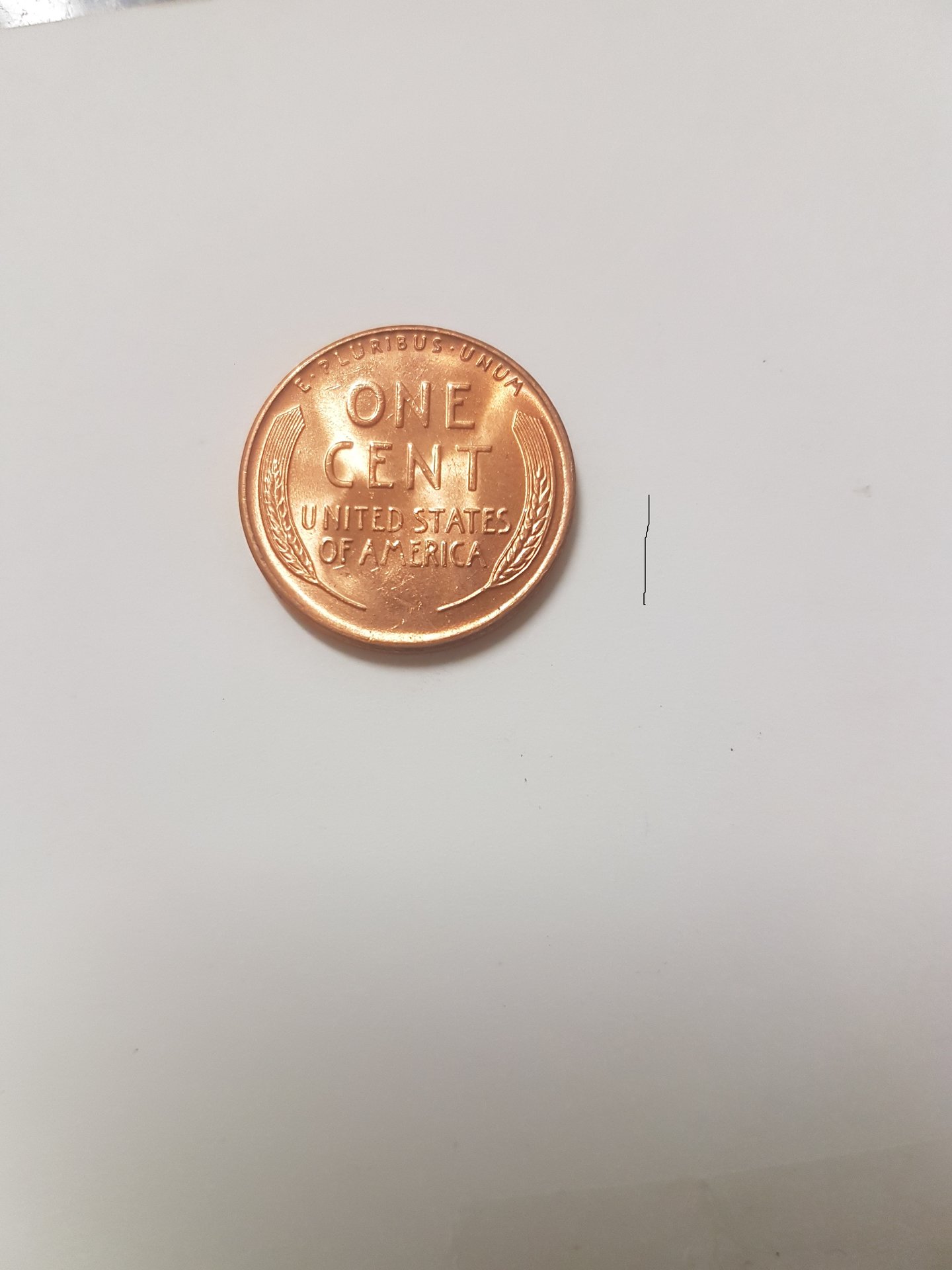 20181112_203358.jpg