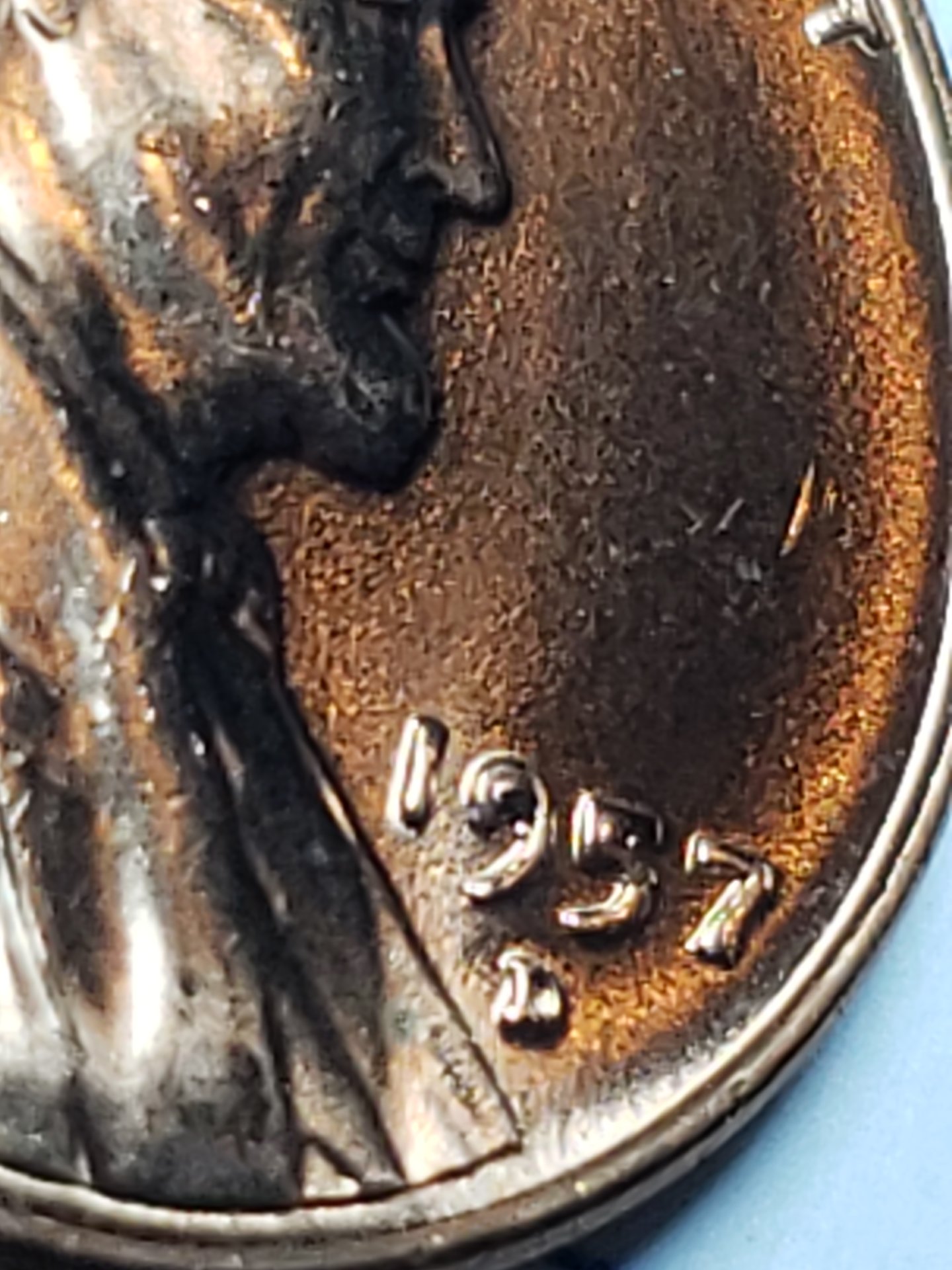20181116_075602.jpg