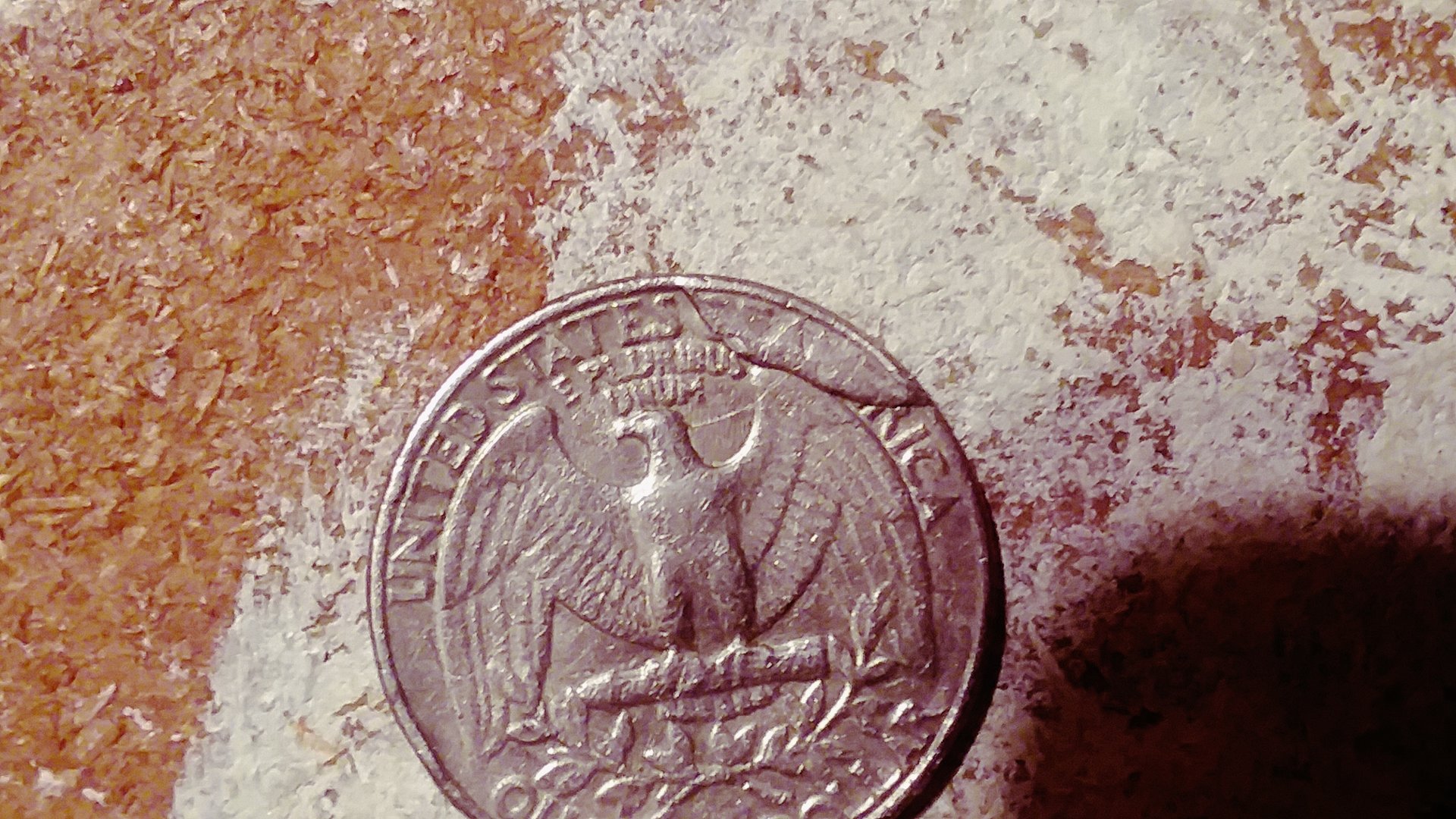 20181118_225041.jpg