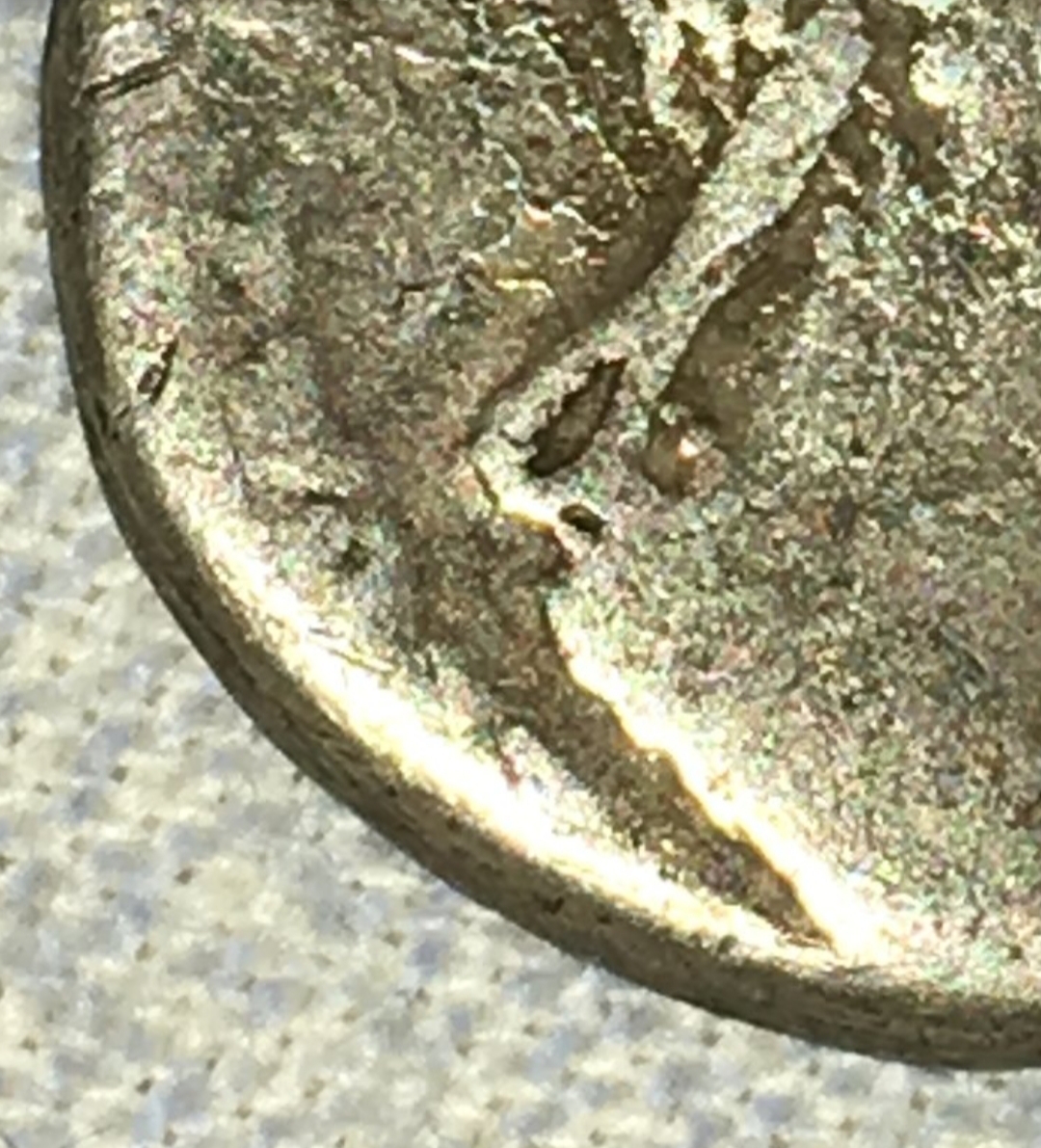 20181119_080250.jpg
