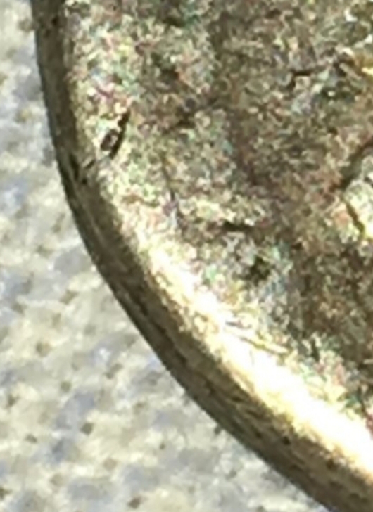 20181119_080311.jpg