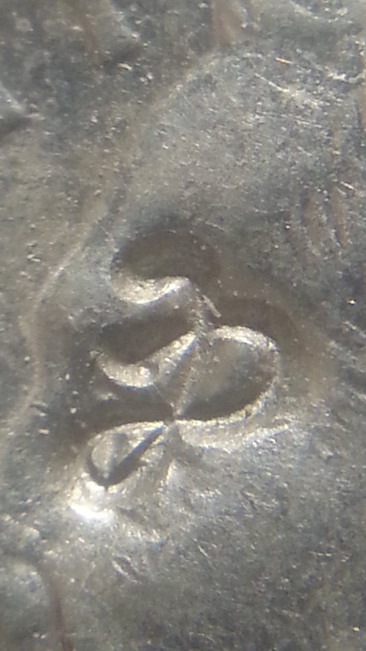 20181128_075022.jpg