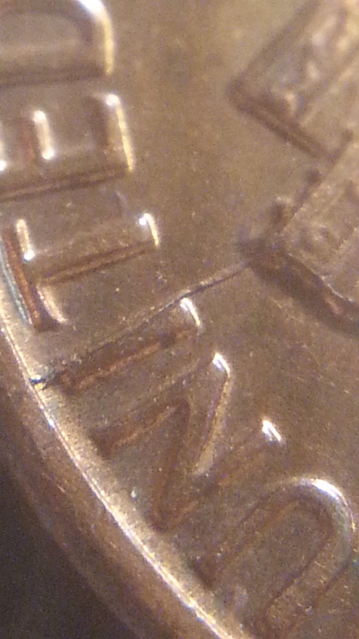 20181128_084421.jpg