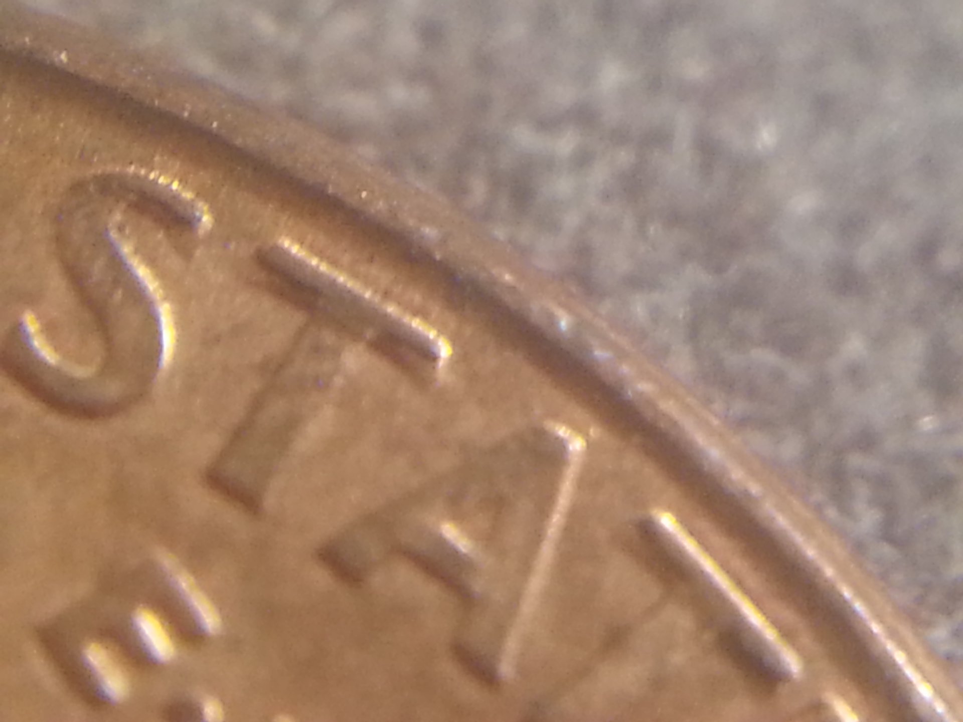 20181128_112835.jpg