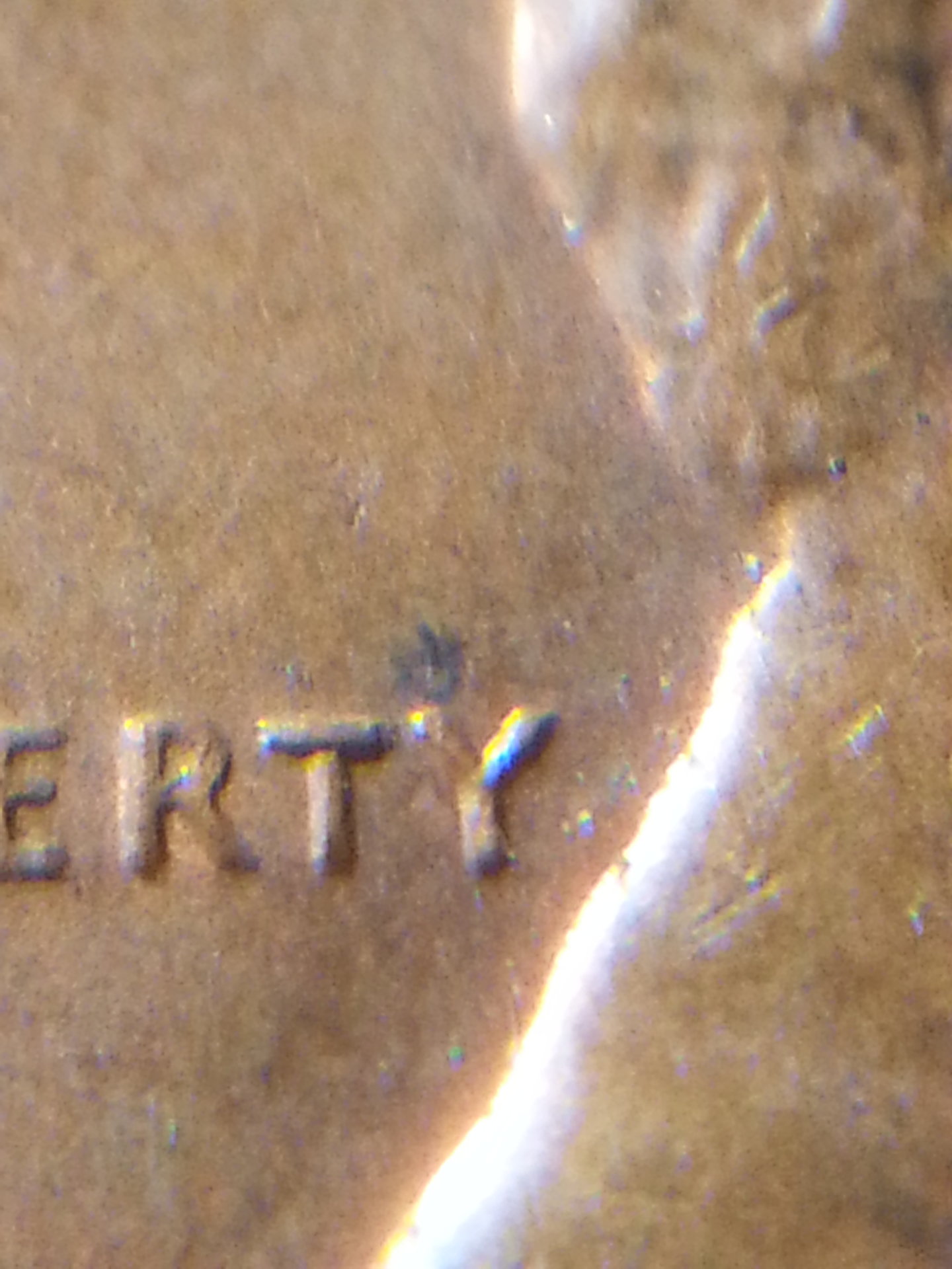 20181128_190249.jpg