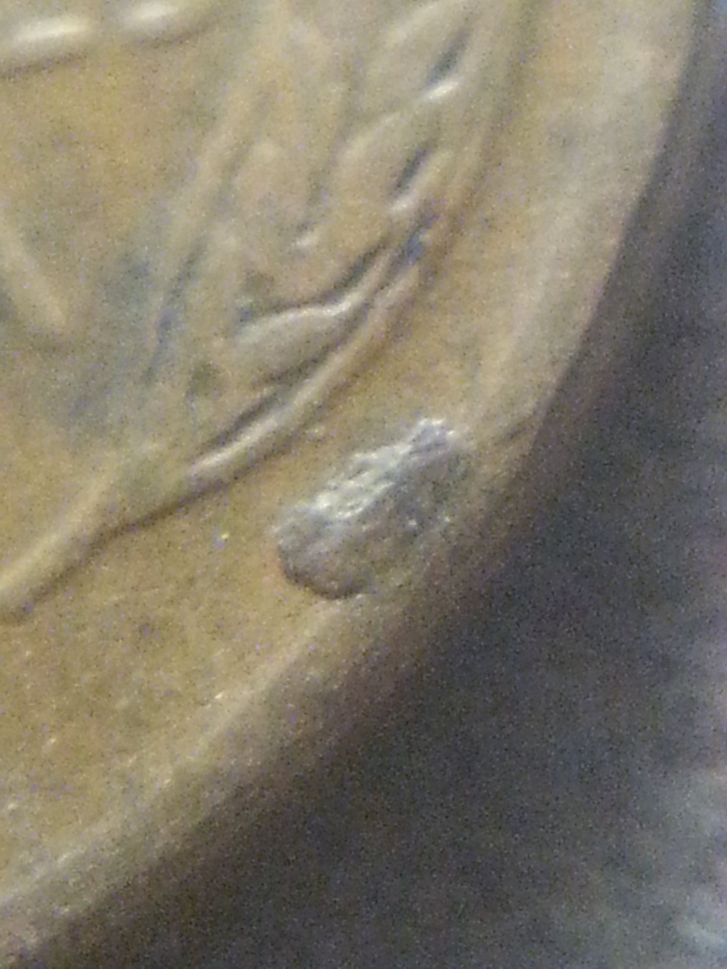 20181130_122046.jpg