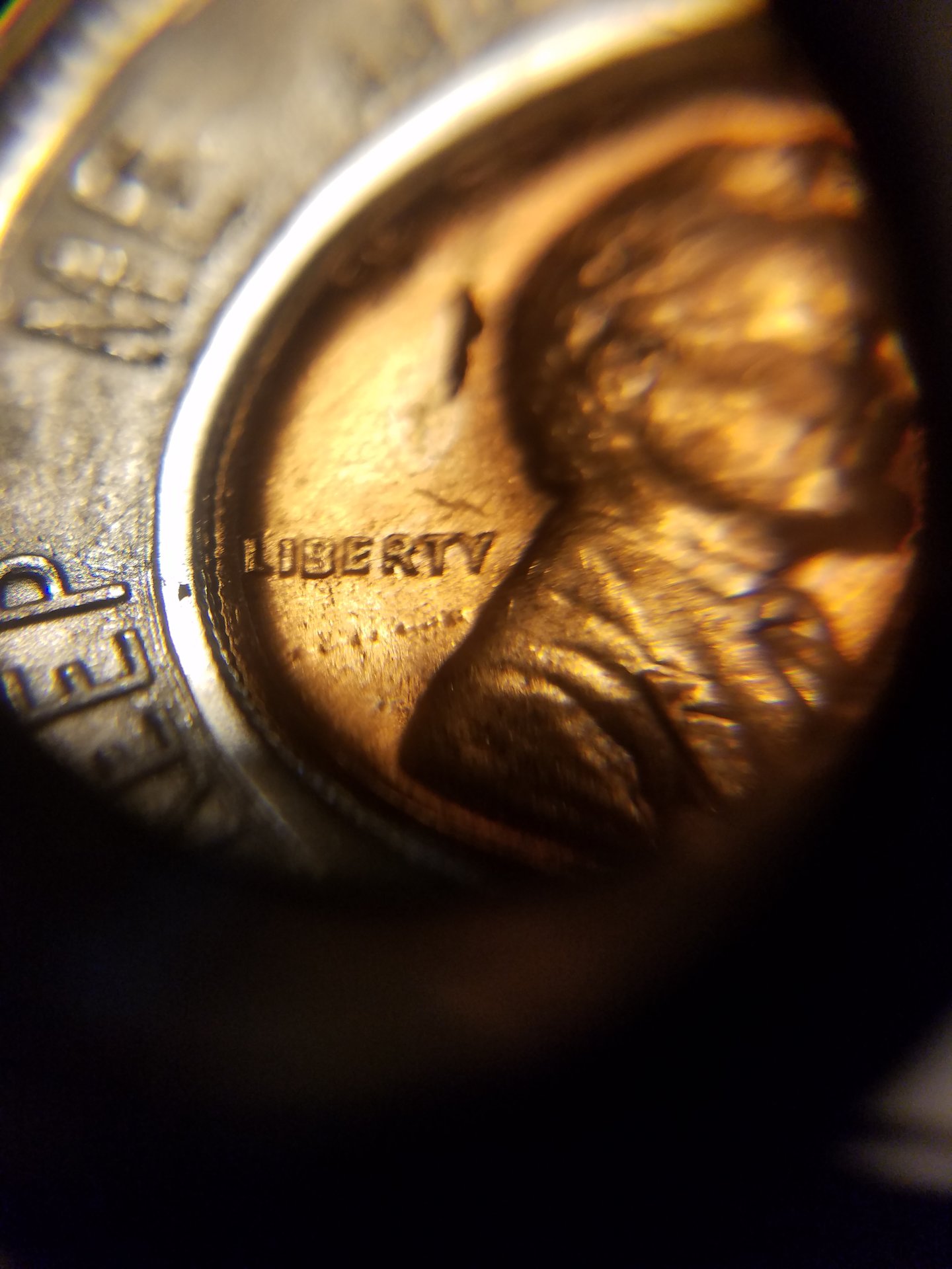 20181214_112233.jpg