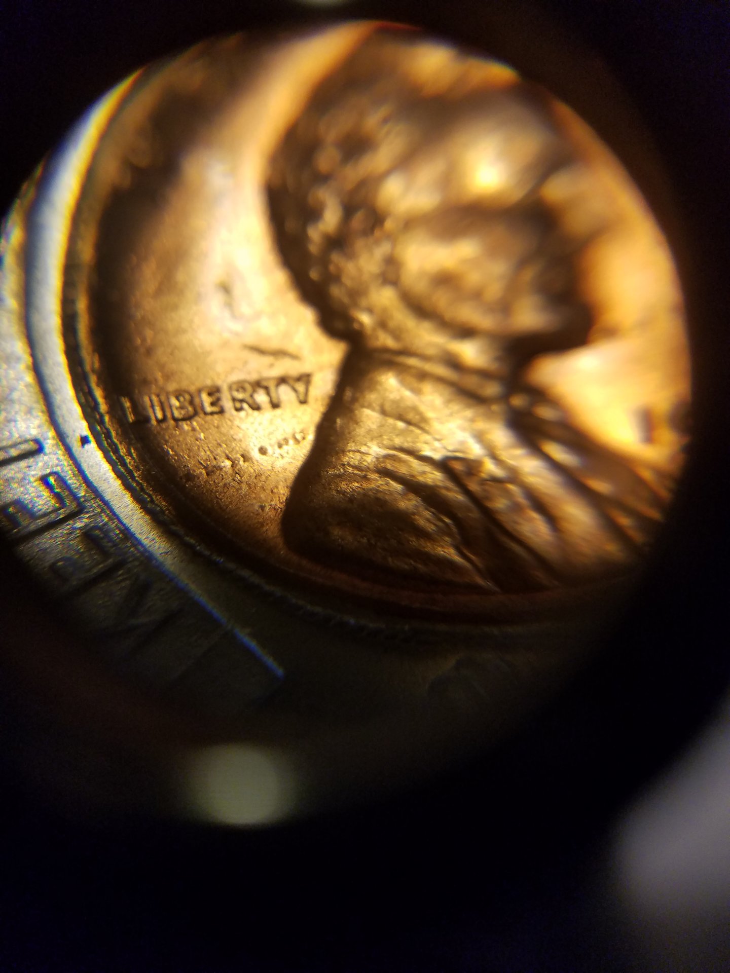 20181214_112625.jpg