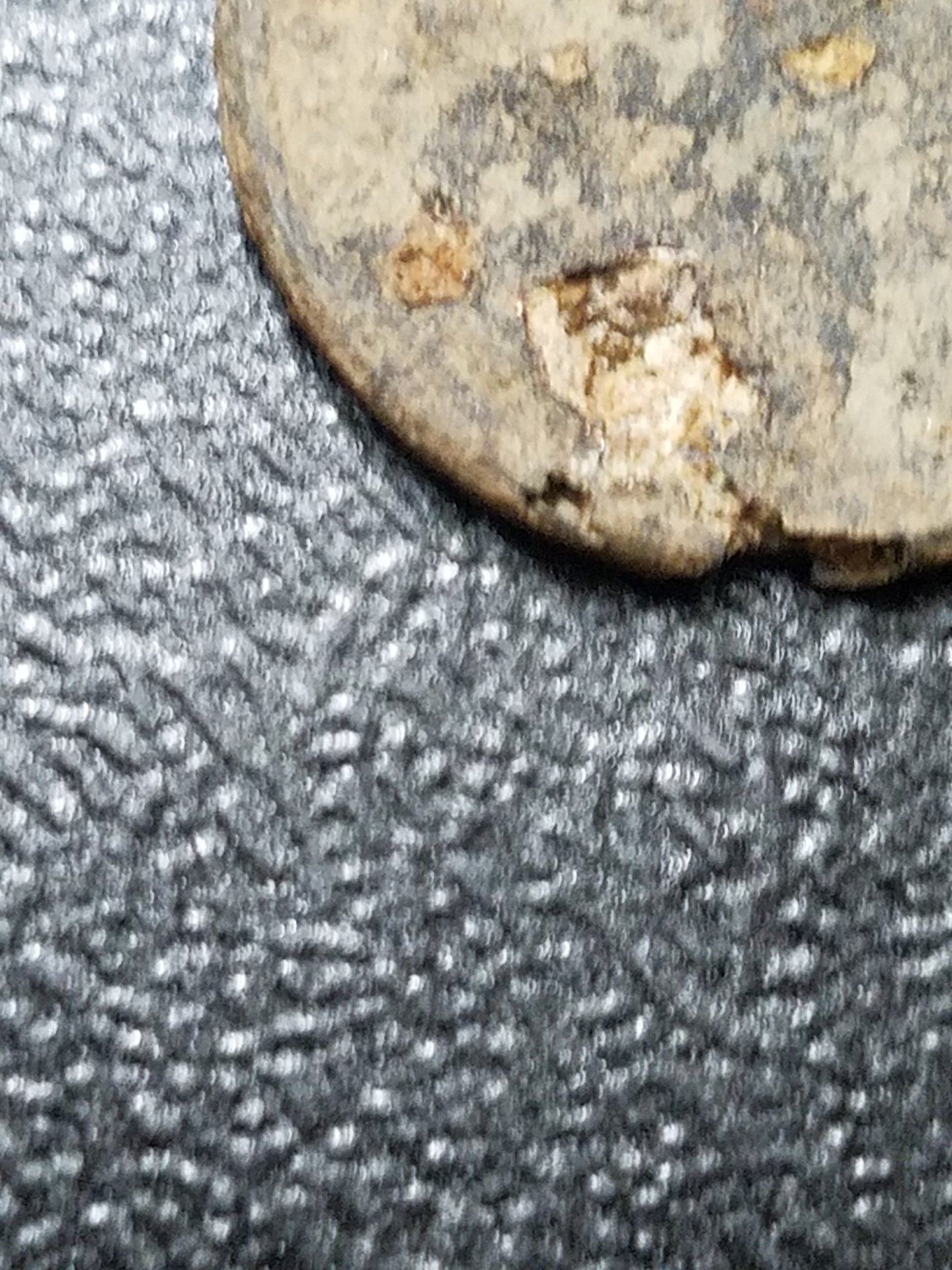 20181216_171234.jpg