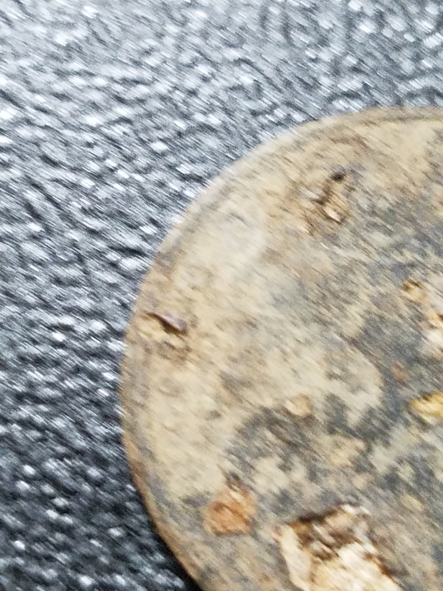 20181216_171237.jpg