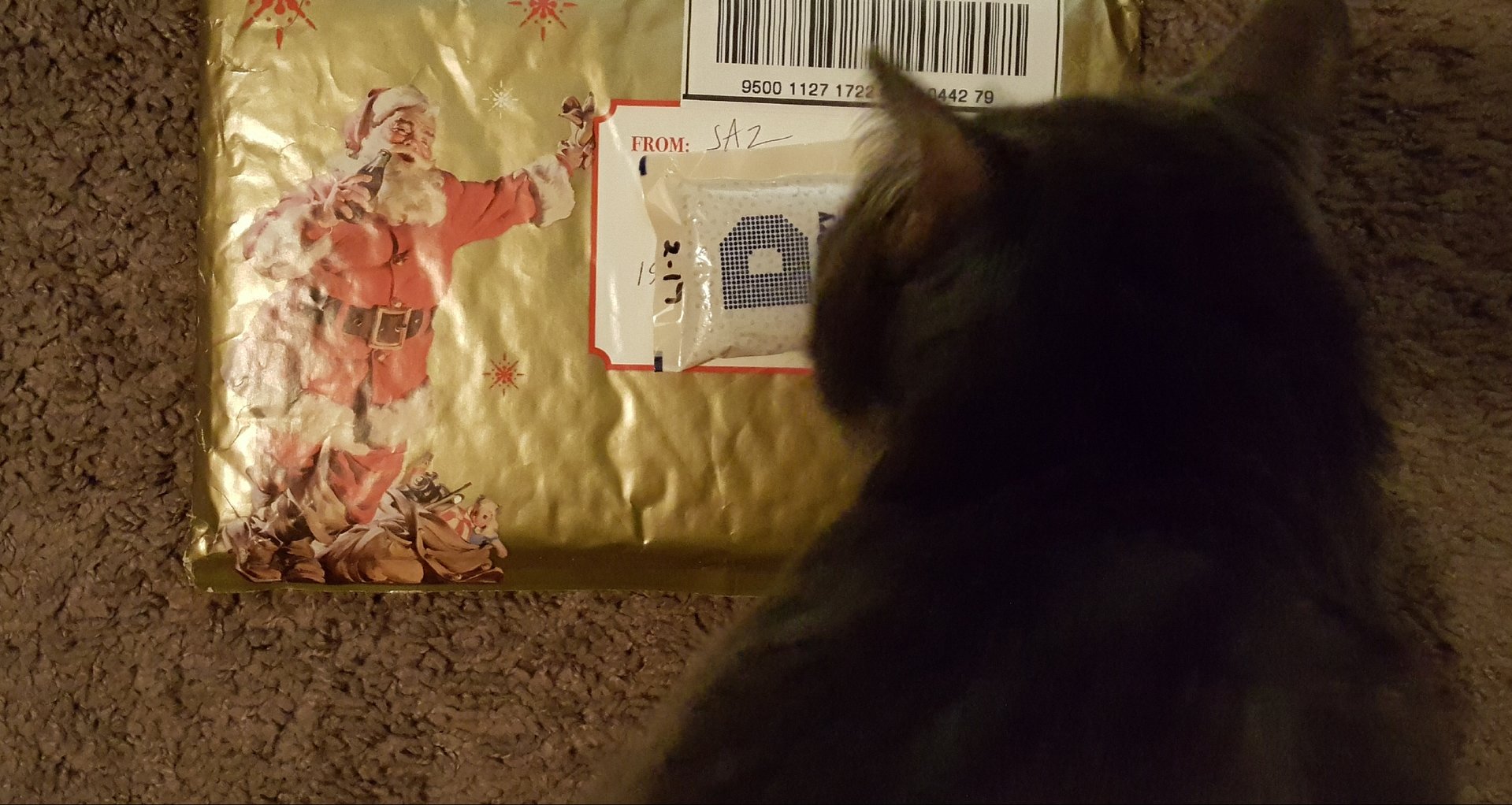 20181218_012505.jpg