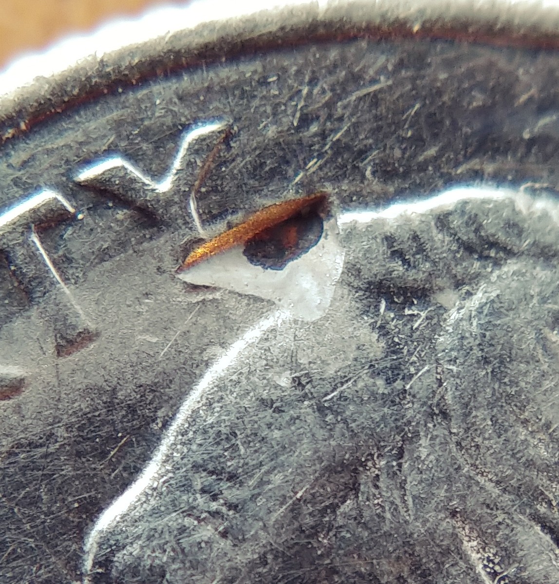 20181219_112720.jpg