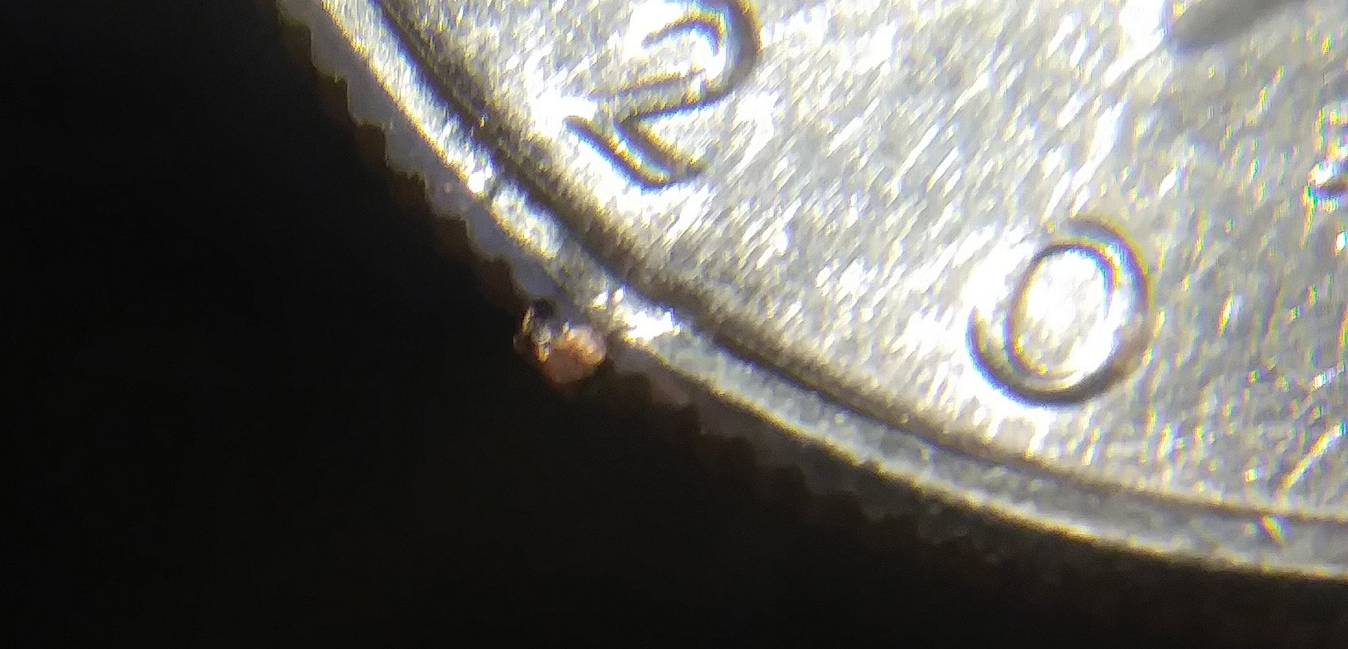 20181223_115623.jpg