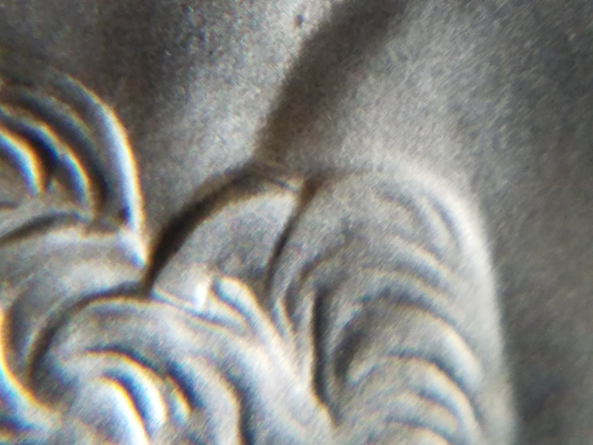 20181223_190832.jpg