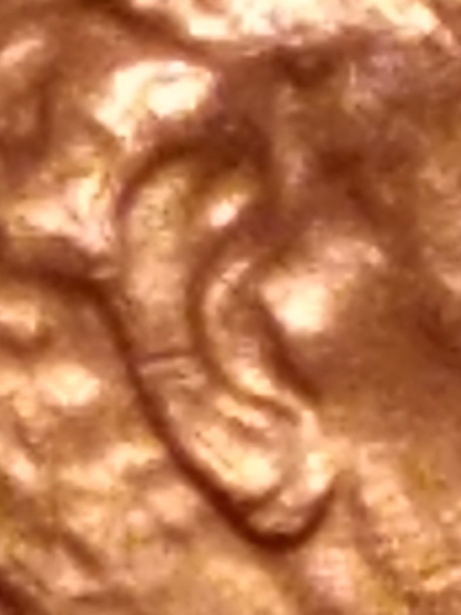 20181227_195609.jpg