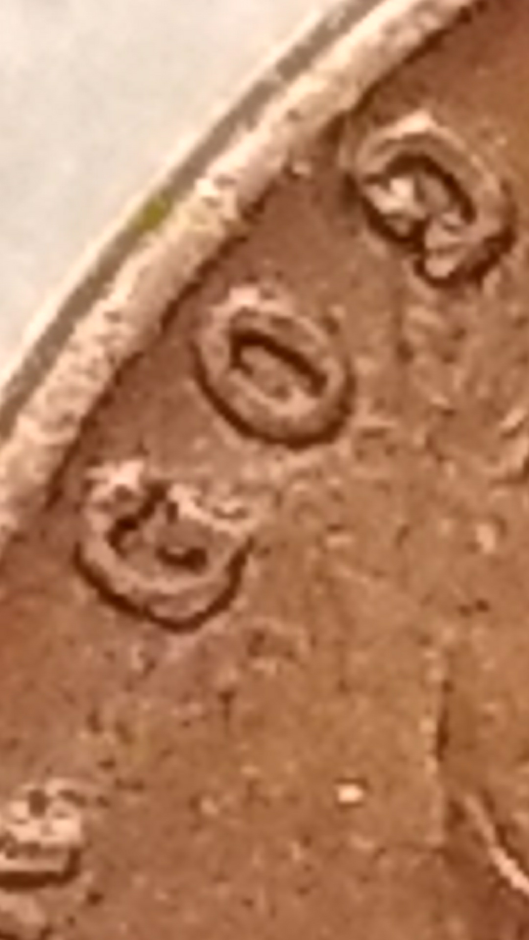 20181227_213249.jpg
