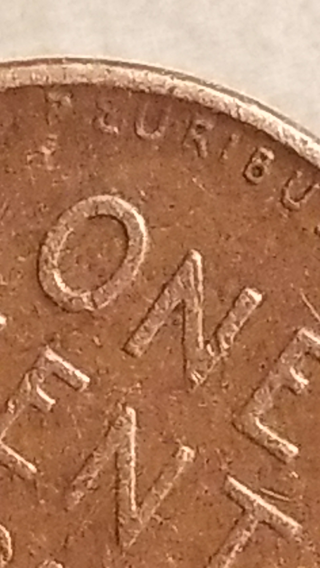 20181227_213913.jpg