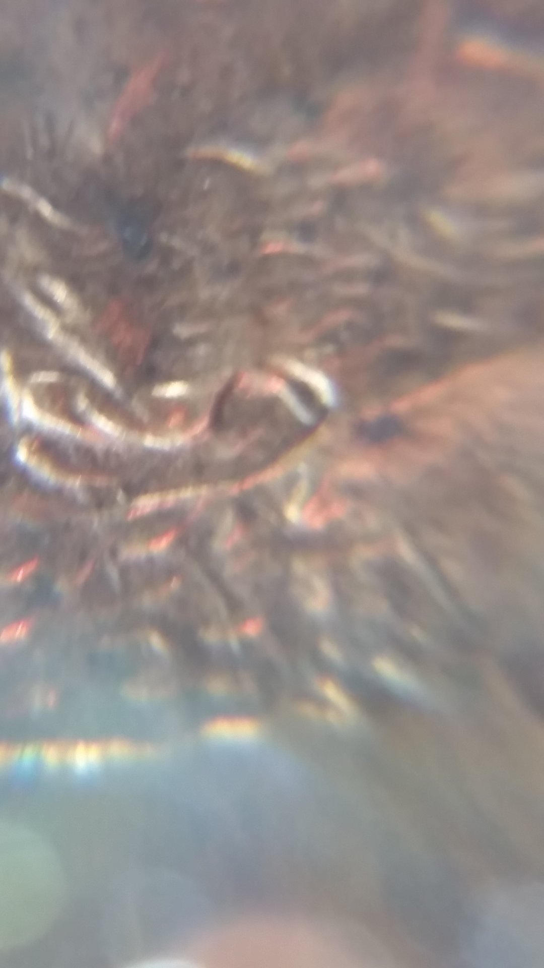 20181228_202942.jpg