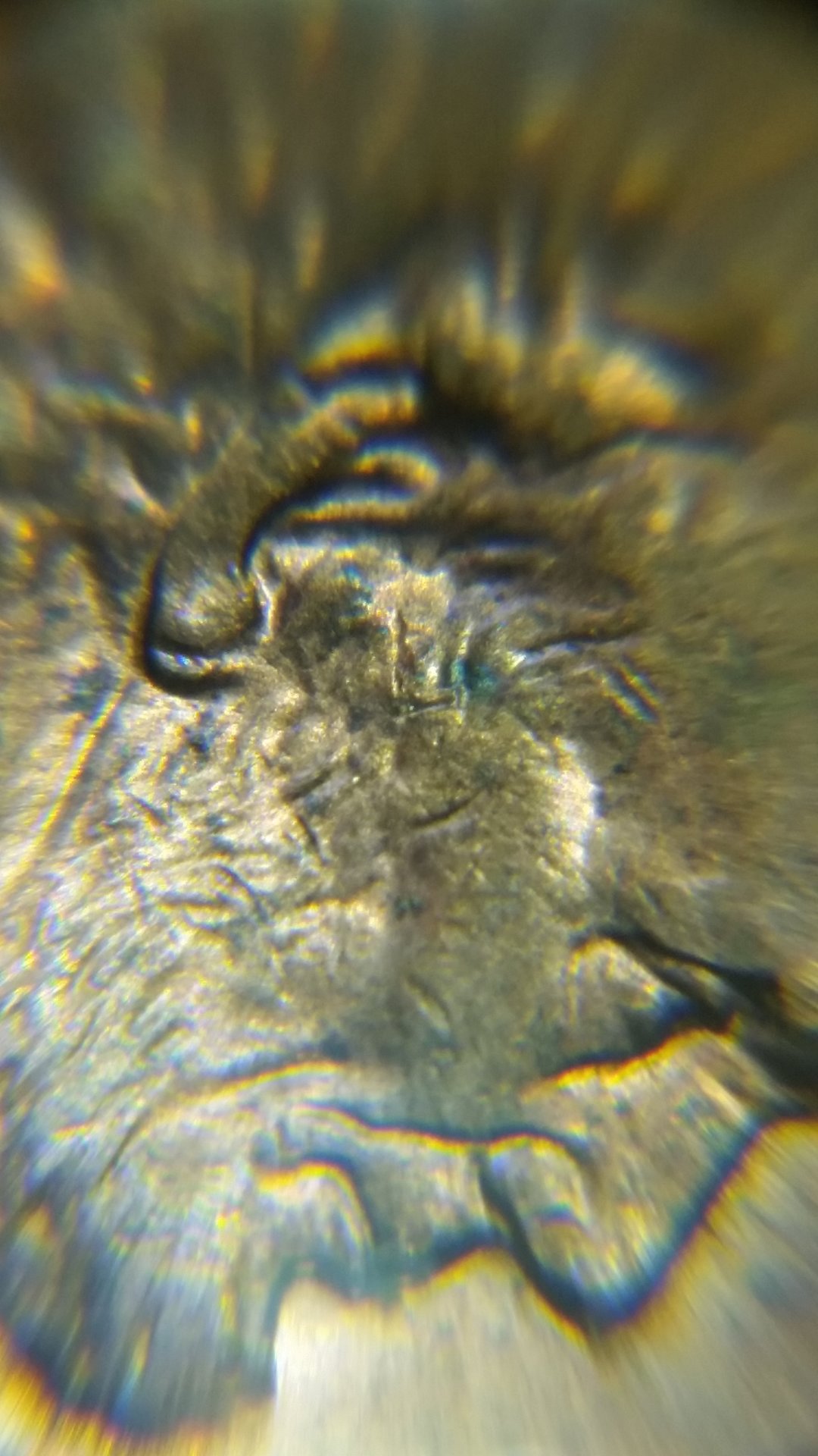 20181228_203407.jpg