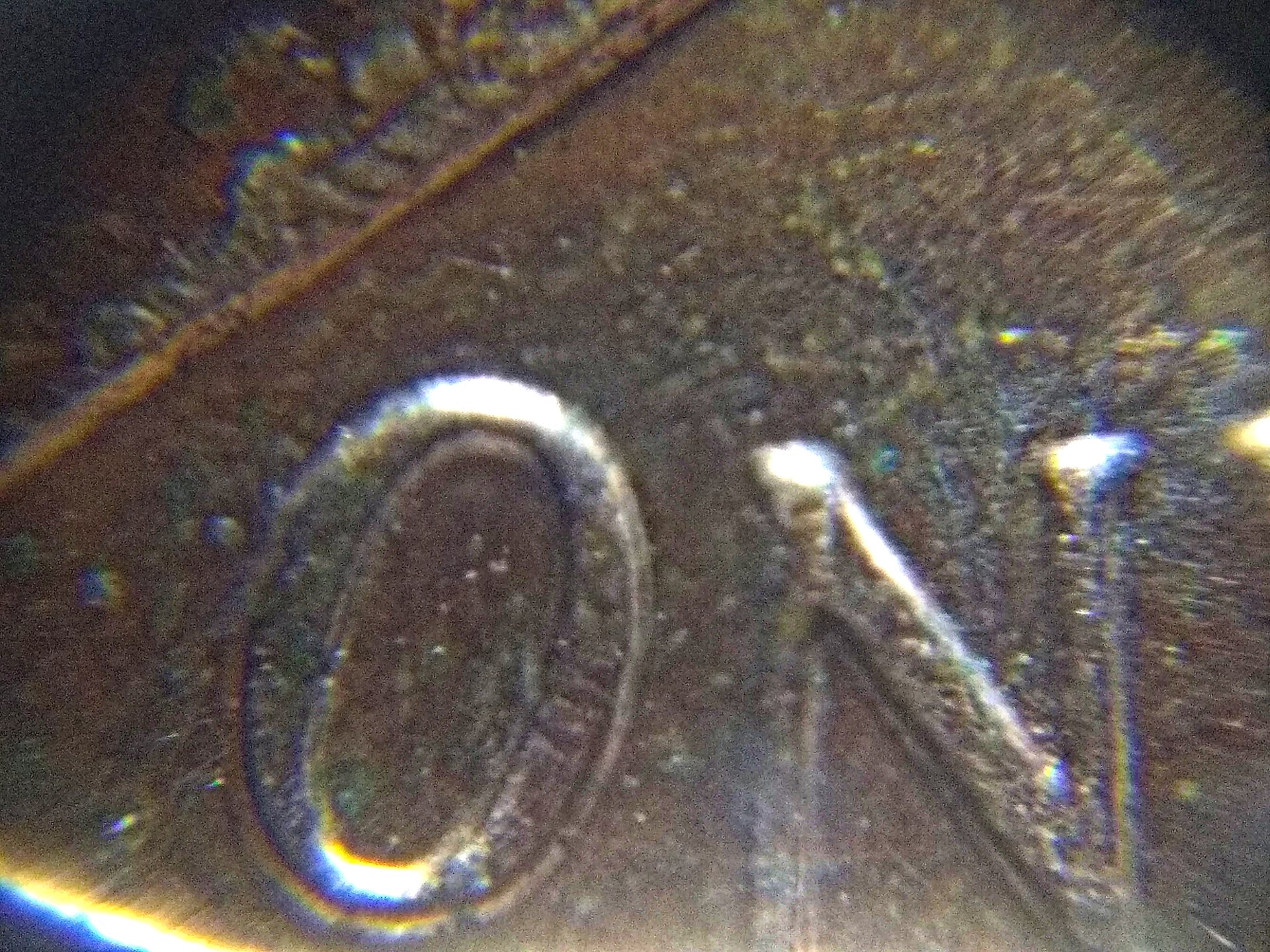 2019-07-23-21-13-20-995_1563941855242.jpg