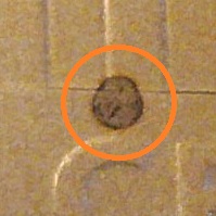 2019-10-20_103549_117 cropped.jpg