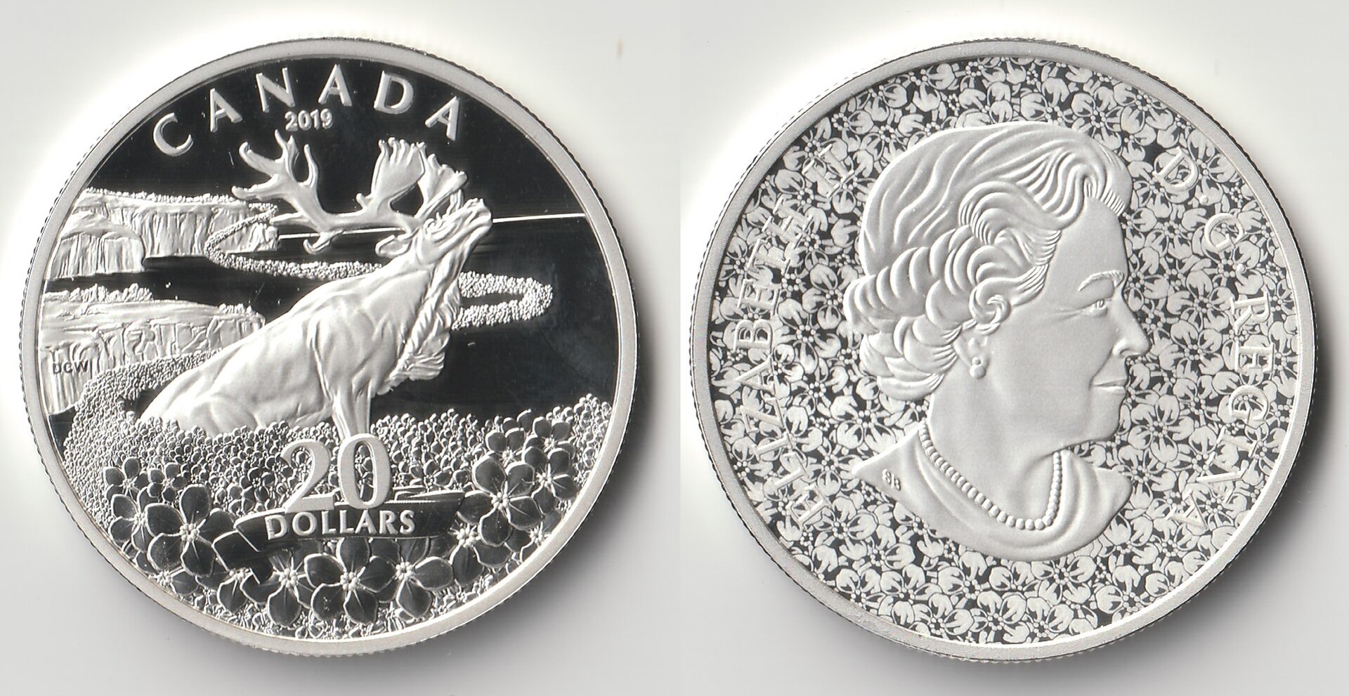 2019 canada 20 dollars forget me not.jpg