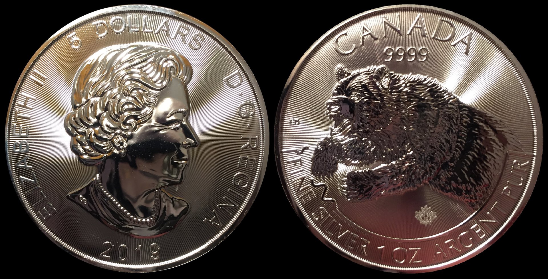 2019 Canada Grizzly 1oz Ag.jpg